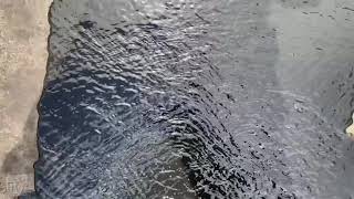 Fire Sprinkler System FLUSHED and the Results Were Shocking