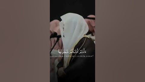 "أَفَرَأَيْتُمُ النَّارَ الَّتِي تُورُونَ"|سورة الواقعة، آية71-72بصوت#الشيخ ياسر الدوسري| نور القرآن