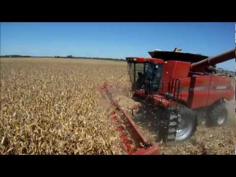 Parker Farms Corn Harvest 2011