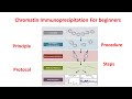 Chromatin immunoprecipitation chip explained principle and  procedure  chip assay