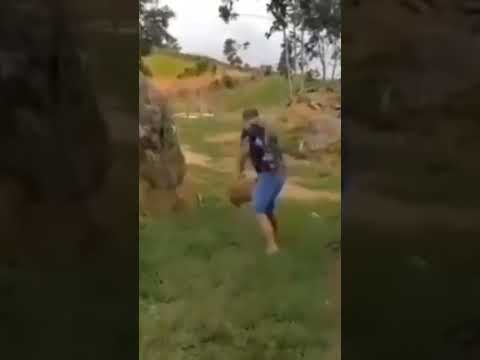 Angry sheep Vs cheater. Злая овца против читера. Чехорда. #wildnaturetv250 #funny #sheep #приколы