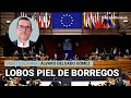 Lobos con piel de borregos, por Álvaro Delgado | Video columna