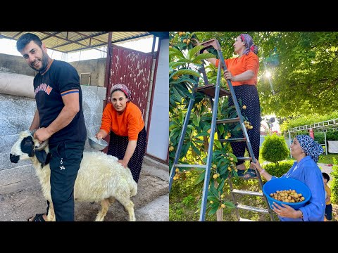 KURBAN BAYRAMI YAKLAŞIYOR ABLA KARDEŞ KURBANLIK YIKAMASI ~ LEZZET KÖYÜ