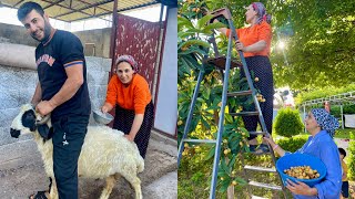 KURBAN BAYRAMI YAKLAŞIYOR ABLA KARDEŞ KURBANLIK YIKAMASI ~ LEZZET KÖYÜ