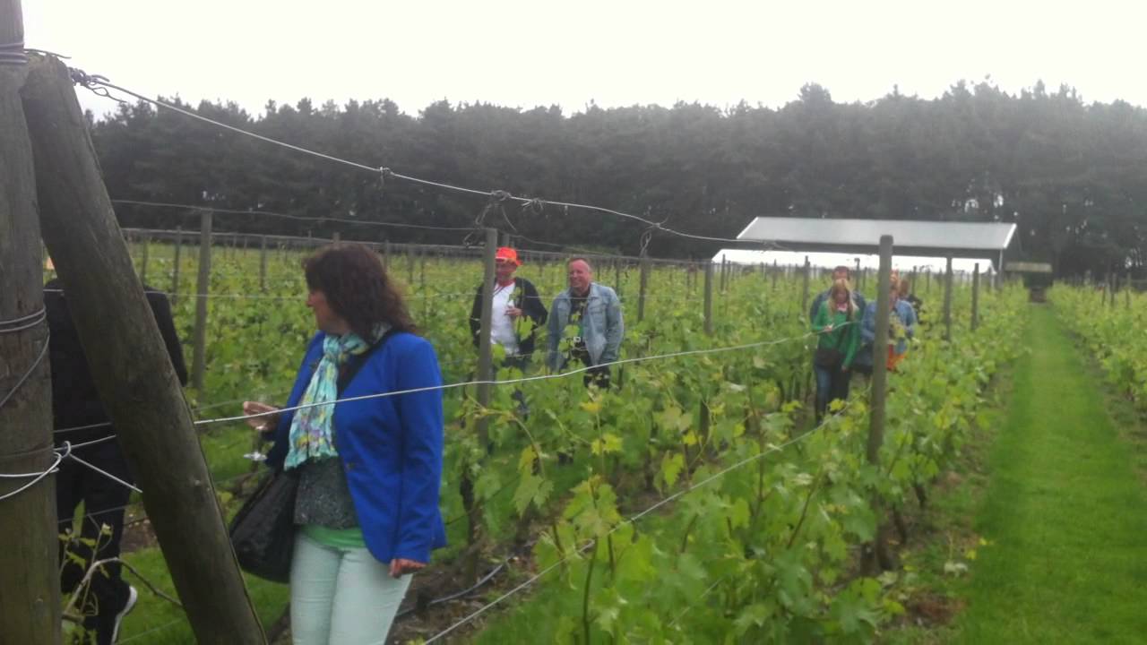 'Santspuy' Asperge en wijnboerderij.