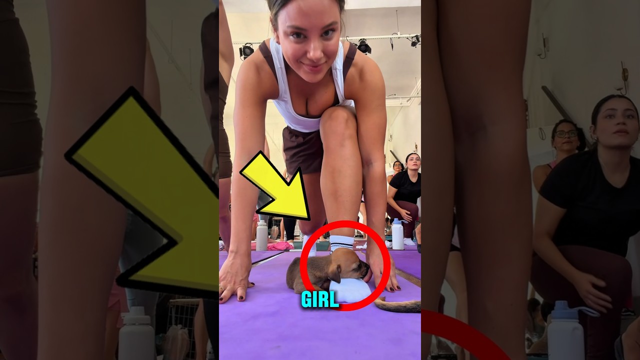 She Brought Her Puppy To Yoga Class 🐶🧘‍♀️ #shorts