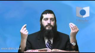 הדף היומי - מסכת סוכה דף מד