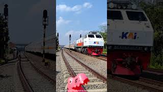 Mainan dinosaurus bertemu dengan kereta api Pasundan di stasiun langen #shorts