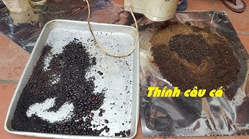 Làm thính câu cá chép đồng, cá giếc thân tặng anh em