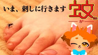 【蚊】残暑厳しい季節ですね、蚊動きます。【バカゲー】
