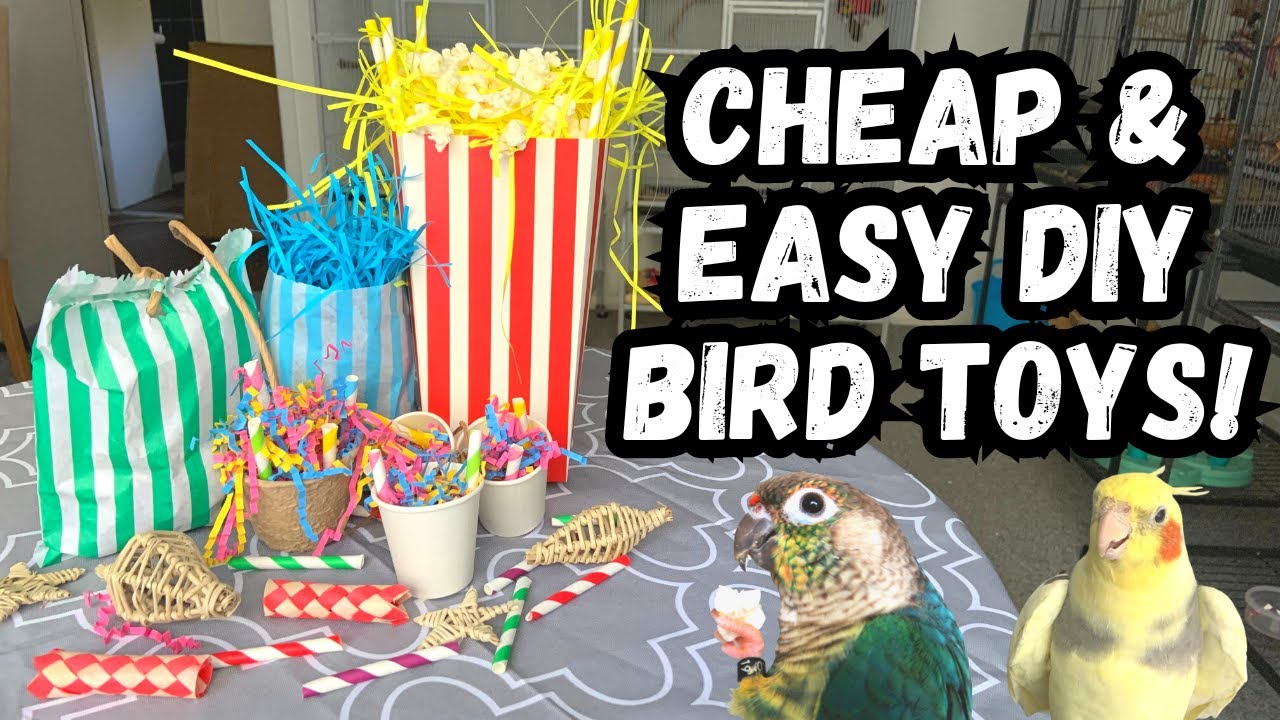 Cheap And Easy Diy Parrot Toys 3