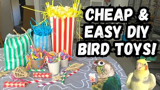 Cheap and Easy DIY Parrot Toys #3  | BirdNerdSophie