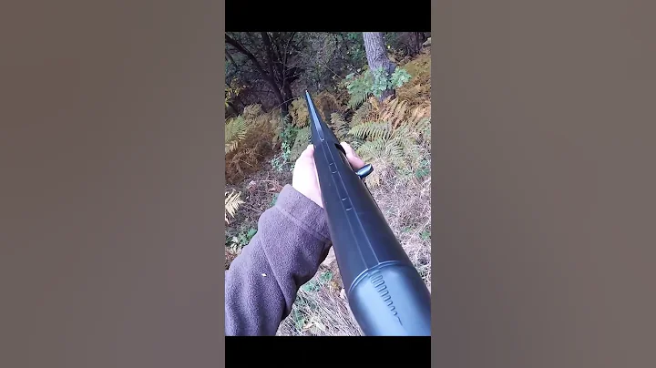 охота на кабана с холмов#chasse#hunting #cinghiale #jabali #wildboa