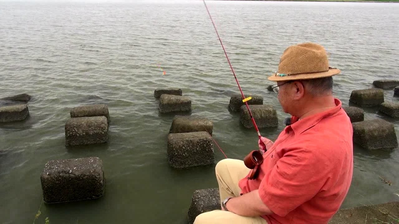 テナガエビ釣り講座 釣れる時期から仕掛け 狙うポイントまで徹底解説 3ページ目 暮らし の