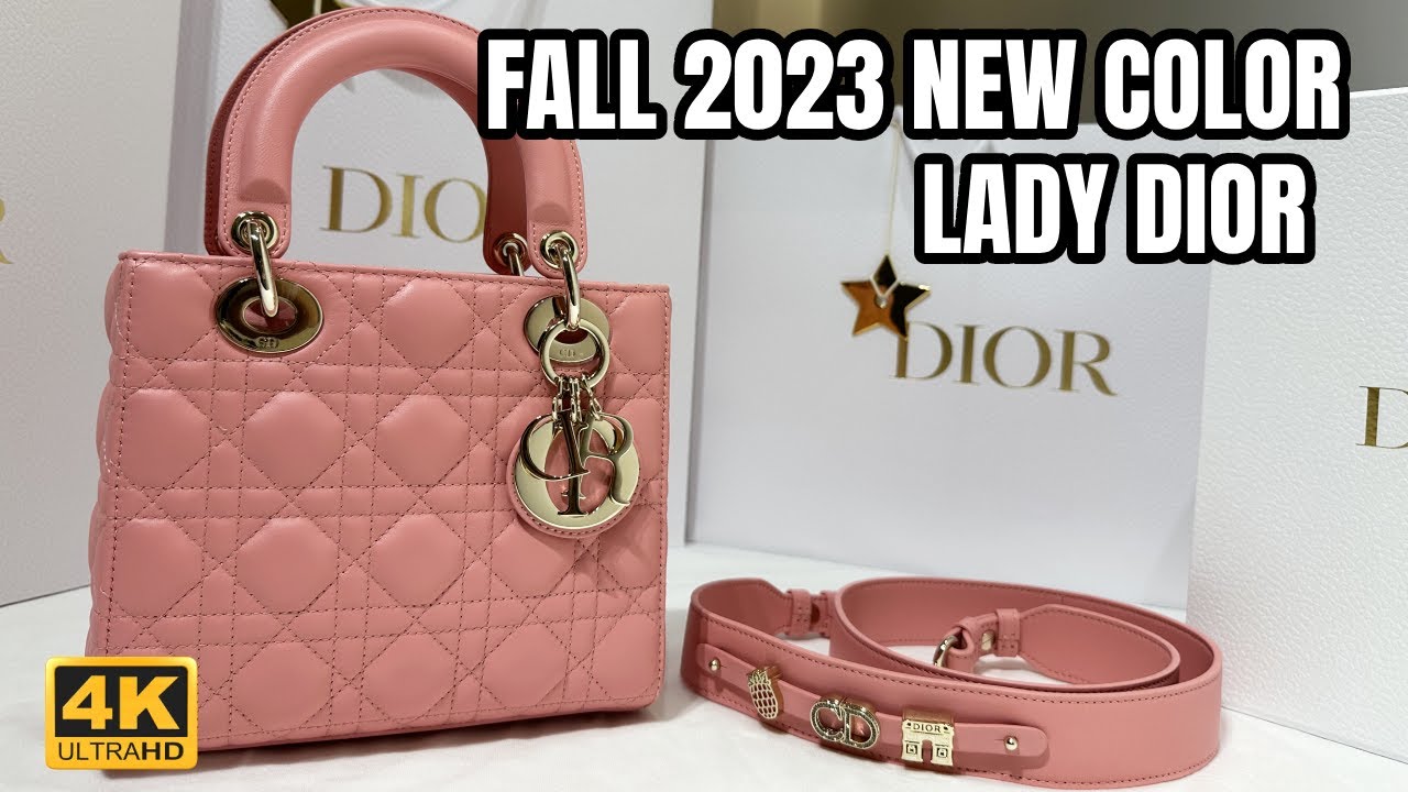 LADY DIOR NEW FALL 2023 COLOUR