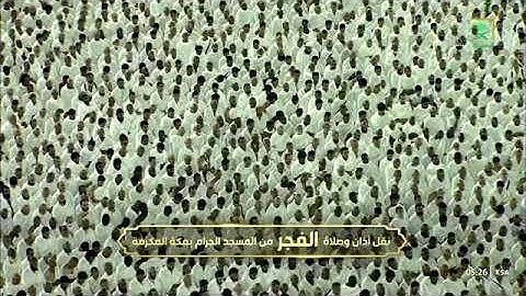 صلاة الفجر 25 ربيع اخر 1446 من المسجد الحرام للشيخ بدر التركي سورة القلم كاملة