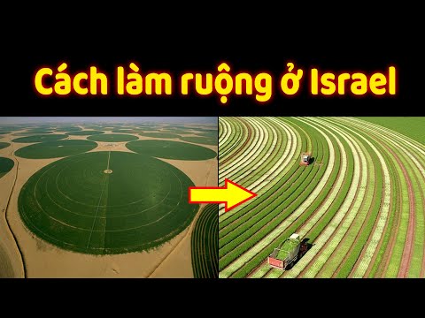 Video: Thiết kế Khu vườn Do Thái - Mẹo Tạo Vườn Torah Do Thái