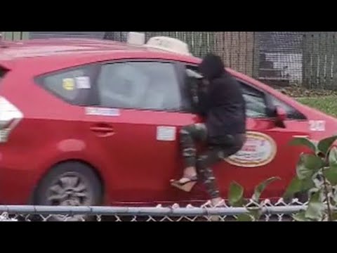 Winnipeg taxi driver facing dangerous driving charge
