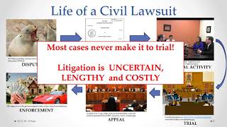 Business Law: Module 1, Part D - Legal Fundamentals (ACAF)