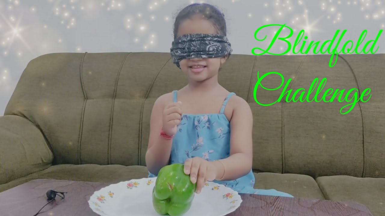 Blindfold challenge || Indoor games for kids || Fun games for kids || Guess  the object game - YouTube