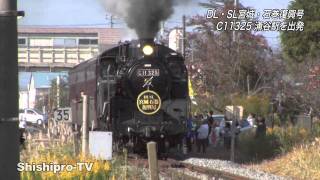 C11325『DL・SL宮城・石巻復興号』仮設に響く復興への汽笛