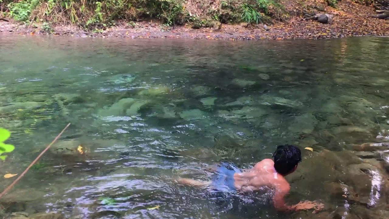 Bañando en río de Santa Cruz Barillas ( San Ramón) - YouTube