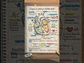 Human Heart Diagram ❤️🫀 Complete NCERT labeling & blood flow in 1 frame! #BiologyShorts