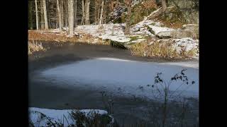 Pond Time Lapse for Five Days @jonbondy