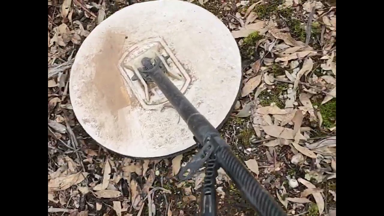 Talbot Gold with the GPZ7000 and the x-coil 17cc