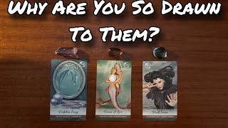 🥵🔥 Why Do You Feel So Drawn To Them Pick A Card Love Reading 