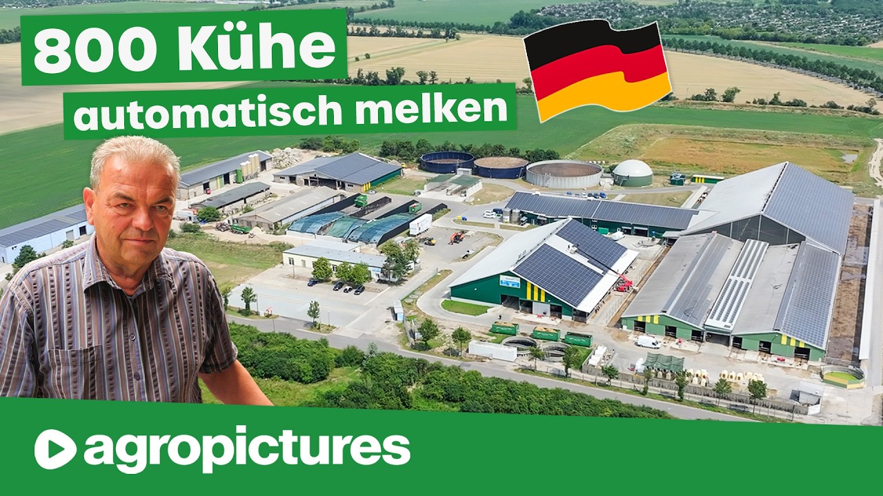 Melkroboter für 800 Kühe am Großbetrieb | Lemmer Fullwood Batch Milking 4.0 bei Agrarprodukte Kitzen