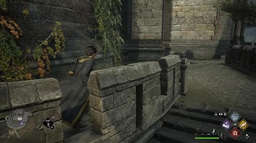 Hogwarts Legacy - Into the Void