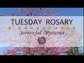 Tuesday rosary  sorrowful mysteries of the rosary  may 14 2024 virtual rosary  meditation