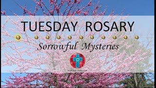 Tuesday Rosary • Sorrowful Mysteries of the Rosary 💜 May 14, 2024 VIRTUAL ROSARY - MEDITATION