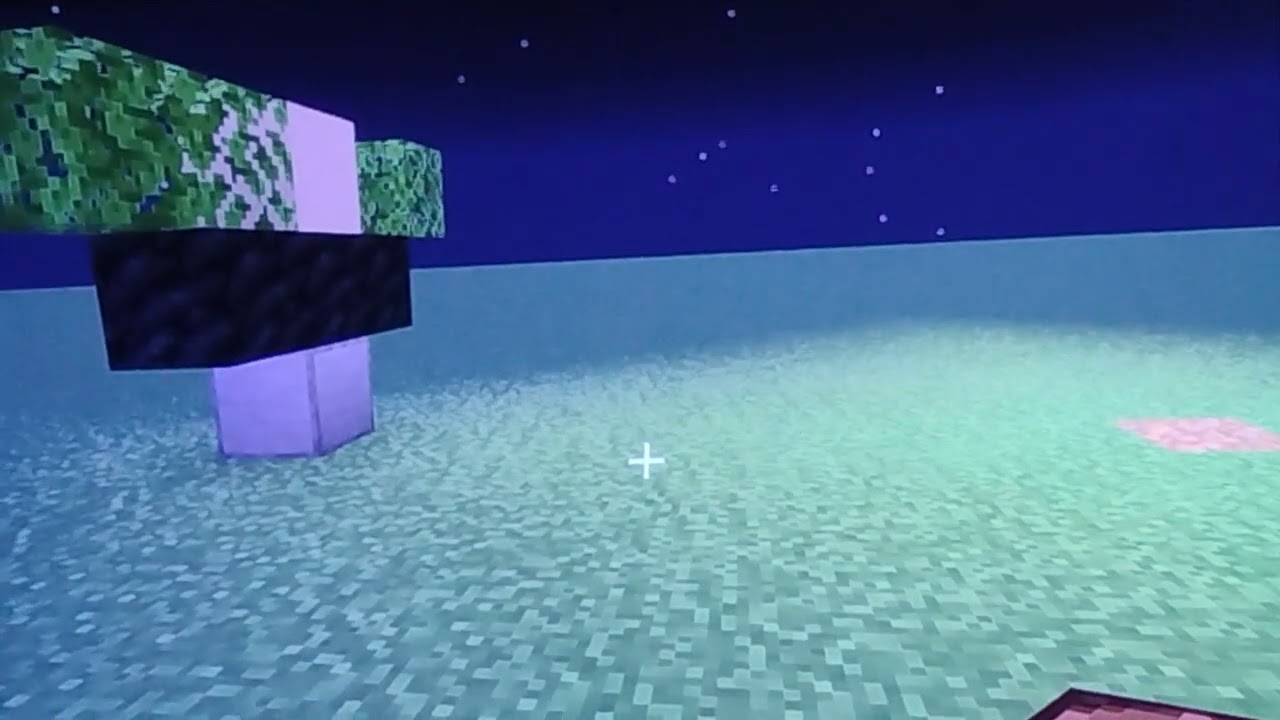 THE oldest view the end