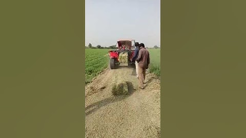 Efficient Farming: Alfalfa Square Bales Made Easy with Tractor Baler