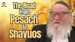 The Road From Pesach to Shavuos: Step by Step - Rabbi Yitzchak Breitowitz