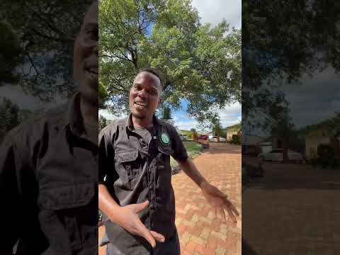 Wodemaya Visits The House That Gave Birth To Zambia’s Independence!