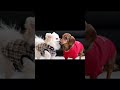 #shortvideo #funnyvideo #short #funnyvideo #funny