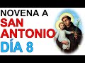 NOVENA MILAGROSA A SAN ANTONIO DE PADUA DÍA 8 AMOR VERDADERO OBJETOS PERDIDOS MUJERES ESTERILES