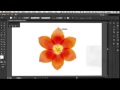 How to use the pen tool in adobe illustrator photoshop and indesign cs6