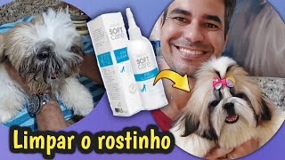 Como limpar o rostinho do Shih tzu?