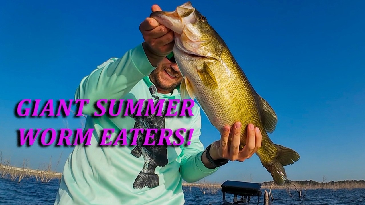Fish Slow = Catch GIANTS! Insane Summer Bass Fishing!