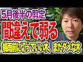【危険】5月後半、今切ると花が消える庭木3選