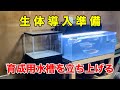 新生体を迎え入れるために再び60cm水槽を立ち上げます！