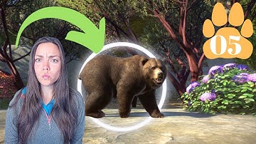 These Bears are BIG! The race to 5 stars! Planet Zoo Challenge Mode Ep 5