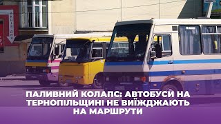 Паливний колапс: автобуси на Тернопільщині не виїжджають на маршрути