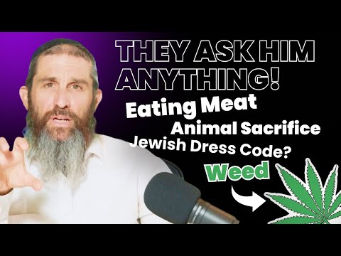 Weed, Animal Sacrifice & even how to Dress | Rabbi in the Hot Seat Ep. 3