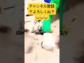【破壊シリーズ】ポッキーとキットカットを粉々に砕いて無理やり元に戻すwww最後はうますぎて大崩壊www #shorts
