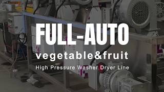 automatic vegetable and fruit washing and drying line